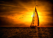 Into the Mystic Photograph by Jack Wilson Into the Mystic Photograph by Jack Wilson