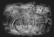 Into the Rabbit Hole Photograph by Susan Maxwell Schmidt
