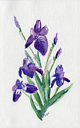 Iris Painting by Clara Sue Beym Iris Painting by Clara Sue Beym