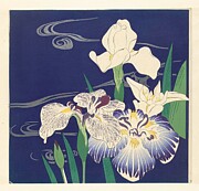 Irises - Kogyo Tsukioka Digital Art by Samuel HUYNH