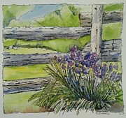 Irises Painting by Sheila Romard Irises Painting by Sheila Romard
