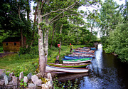 Irish Boats Photograph by Carole Gordon