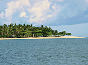 Island Paradise Photograph by David Desautel