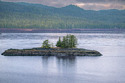 Island Trees Serenity Photograph by Bill Posner