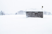 Isolated Photograph by Steven David Roberts