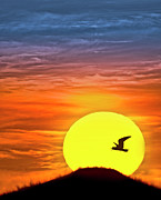 It's a New Day BW Photograph by Susan Candelario