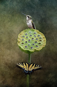 It's The Little Things Photograph by Jai Johnson