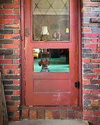 Izzy Bee at the Door Photograph by Mark Andrew Thomas