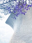 Jacarandas at the Soumaya Photograph by Leslie Brashear