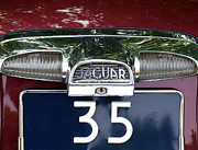 Jaguar 35 Photograph by Richard Reeve Jaguar 35 Photograph by Richard Reeve