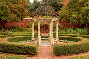 Janie Earle Furman Rose Garden Photograph by Denise Harty