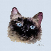 Jasper,  a Black, Blue-eyed Persian Cat Digital Art by Bamalam Art