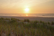 Jersey Shore Beach Dunes and Grass Photograph by Matthew DeGrushe