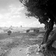 Jerusalem in 1934 Photograph by Munir Alawi Jerusalem in 1934 Photograph by Munir Alawi