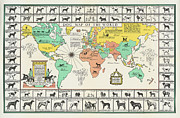 Joseph P Sims - Dog Map of the World - c1940 Digital Art by Vintage Map Joseph P Sims - Dog Map of the World - c1940 Digital Art by Vintage Map
