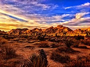 Joshua Tree desert floor Photograph by Dave Zumsteg