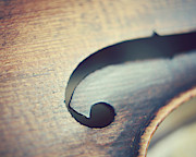 Joyful Sounds Photograph by Lupen Grainne