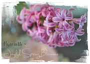 Joyful Spring Blossoms Photograph by Amy Dundon