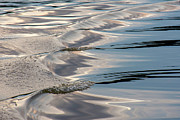 Jug Bay Wake II Photograph by Karen Smale
