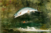 Jumping Trout Digital Art by Winslow Homer