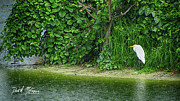 June Downpour Photograph by David McKinney June Downpour Photograph by David McKinney