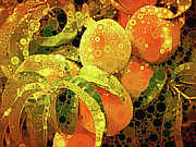 Just Peachy Digital Art by Susan Maxwell Schmidt