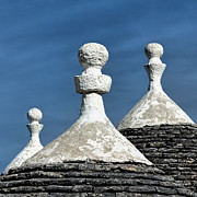Just The Three Of Us - Square Photograph by Elvira Peretsman Just The Three Of Us - Square Photograph by Elvira Peretsman