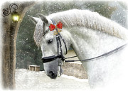 Kaiser Christmas Mixed Media by Fran J Scott