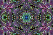 Kaleidoscope of Love Photograph by Allen Nice-Webb