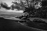 Kauai Beach Sunrise  Photograph by Jon Glaser
