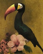 Keel-billed Toucan bird Digital Art by Samuel HUYNH