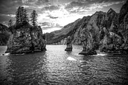 Kenai Fjords National Park Monochrome Majesty Photograph by Dan Sproul