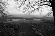 Kentuck Knob Photograph by Steven Nelson