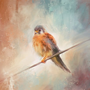 Kestrel in Wait Painting by Jai Johnson