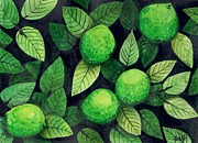 Key Limes Painting by Angrulla MF Key Limes Painting by Angrulla MF