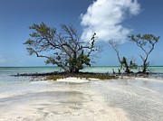 Key West Waters Photograph by Ashley Turner