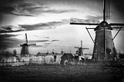 Kinderdijk. Winter Evening in BW. Digital Art by Edward Galagan Kinderdijk. Winter Evening in BW. Digital Art by Edward Galagan