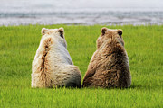 Kinship Photograph by Chad Dutson