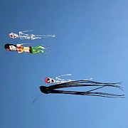 Kites in the Summer Sky Photograph by Flavia Westerwelle