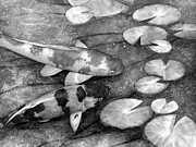 Koi Garden in Black and White Painting by Hailey E Herrera Koi Garden in Black and White Painting by Hailey E Herrera