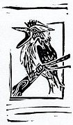 Kookaburra Painting by Tiffany DiGiacomo Kookaburra Painting by Tiffany DiGiacomo