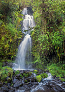 La Chorrera waterfall - Santa Rita Photograph by Henri Leduc