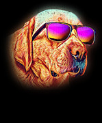 Labrador Retriever Colorful Neon Dog Sunglasses Digital Art by Jacob Zelazny