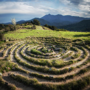 Labrynth and Mt. Tamalpais Photograph by Donald Kinney