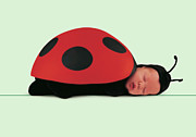 Ladybug #3 Photograph by Anne Geddes
