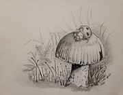Ladybug on a Mushroom Drawing by Angrulla MF