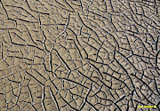 Lake Bottom #1 Photograph by Ben Upham III