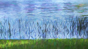 Lake Front and Water Plants X100 Photograph by Rich Franco