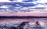 Lake George Sunset Photograph by Rob Lang Lake George Sunset Photograph by Rob Lang
