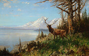 Lake Wyoming Painting by John Fery